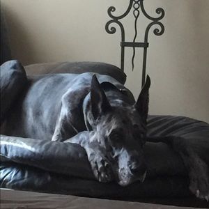 Meet your Posher, Stacy